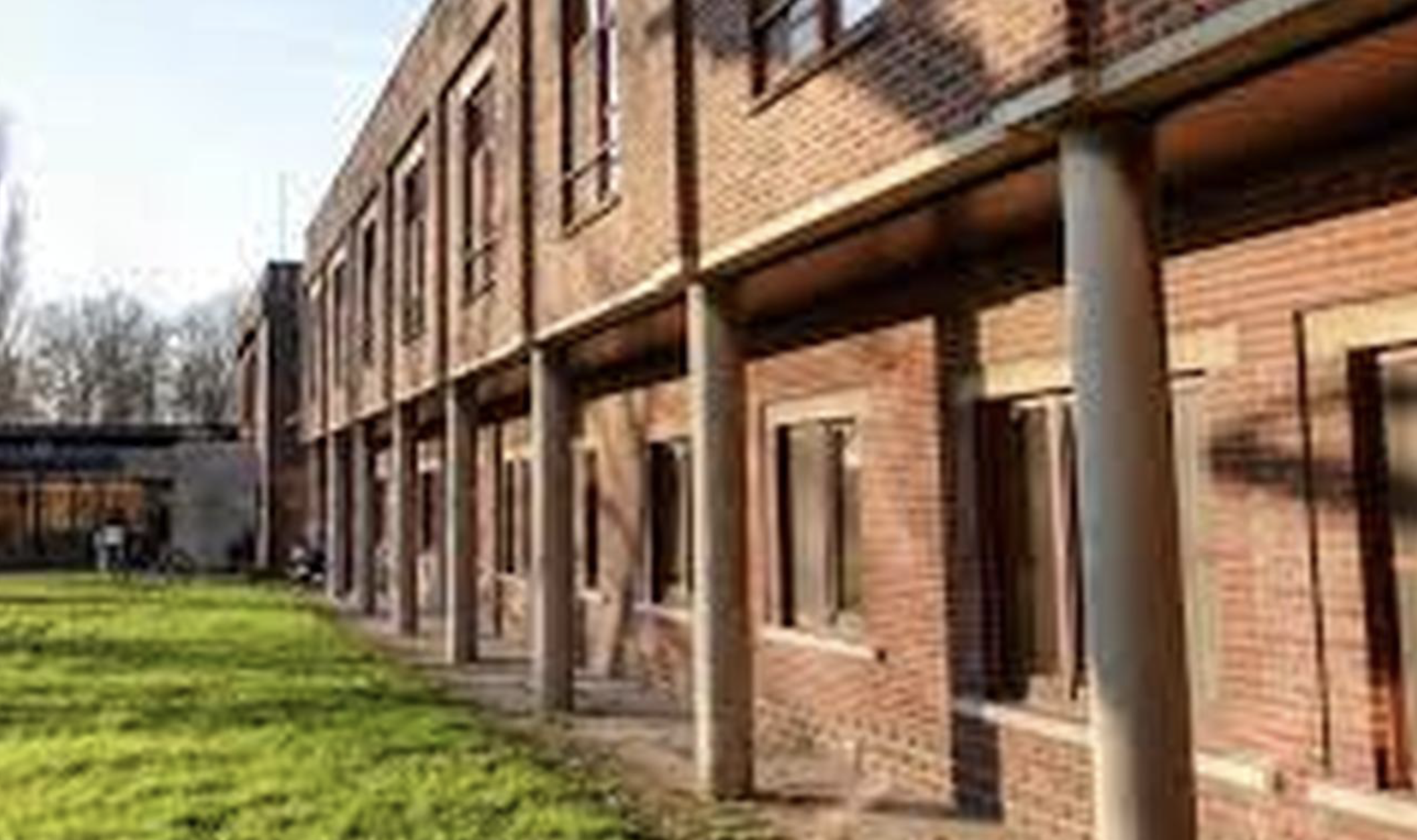 Scheldevelde